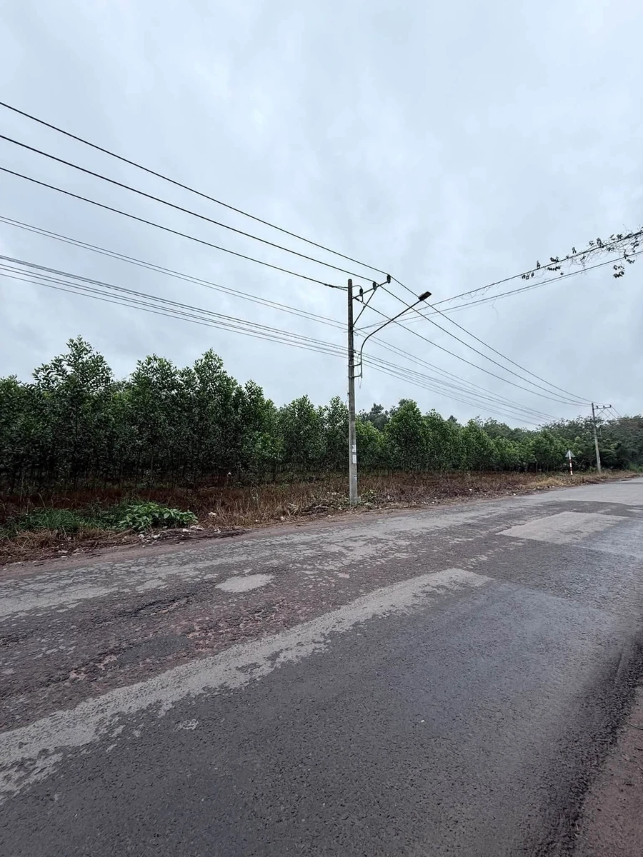 Bán đất Bình Mỹ 1440 m² giá 7 tỷ - Ảnh thu nhỏ 3