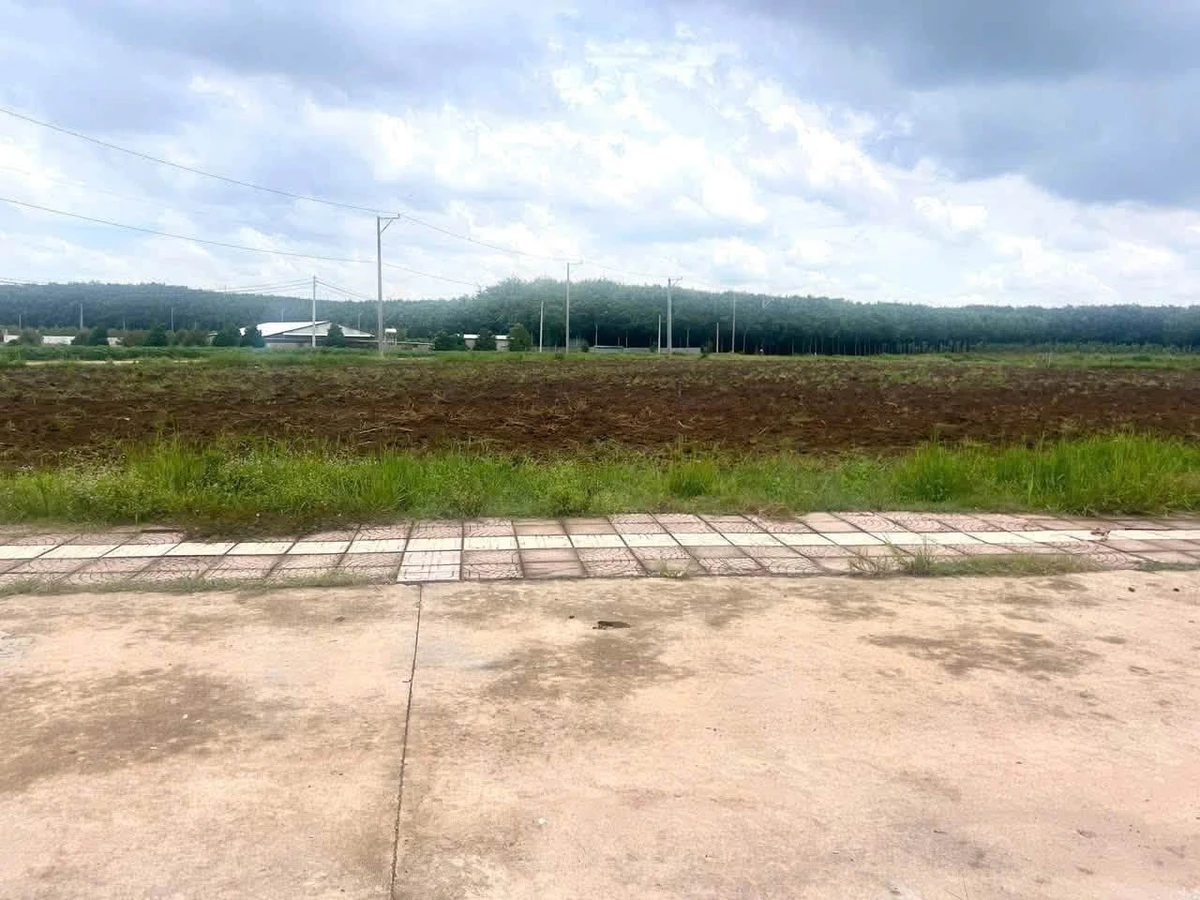 Bán đất liền kề 100m2 đường Minh Lập 350 triệu - Ảnh thu nhỏ 5