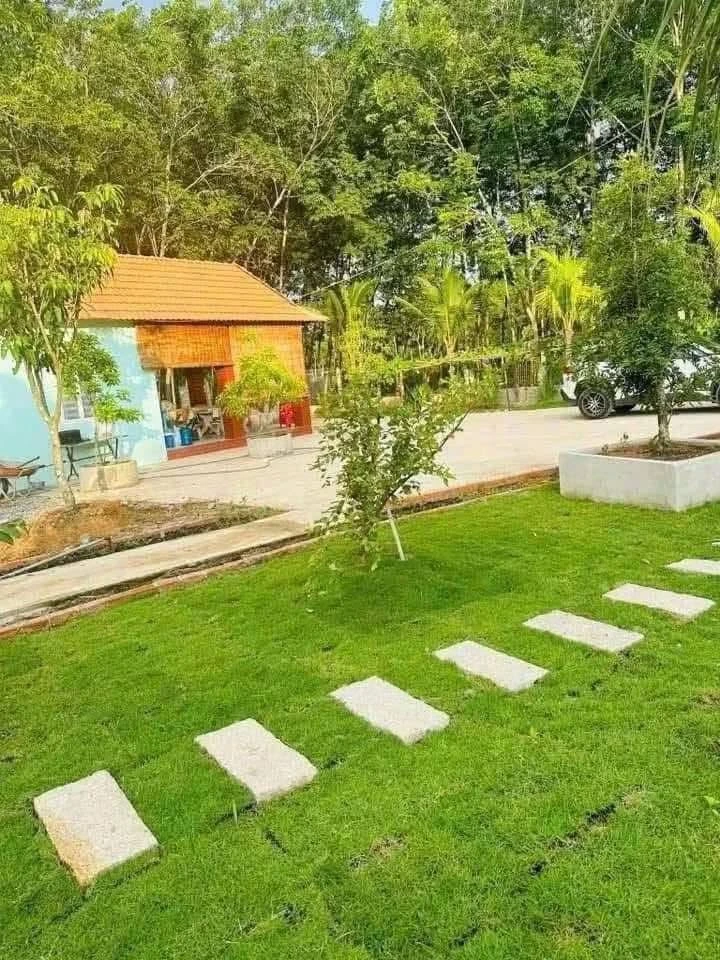 Bán nhà vườn An Điền 1.411m2, giá 4,5 tỷ - Ảnh thu nhỏ 3