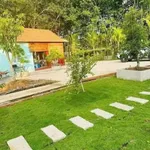 Bán nhà vườn An Điền 1.411m2, giá 4,5 tỷ - Ảnh thu nhỏ 3
