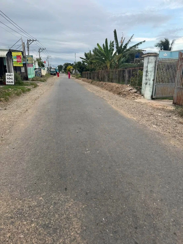 Bán đất Cây trồng lâu năm 1,5 sào Hàm Liêm