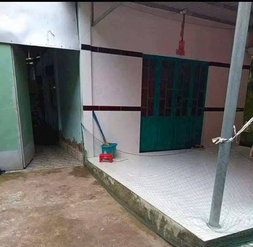 Bán đất vườn dừa 1 công 4 Tân Thanh, Bến Tre 670 triệu - Ảnh thu nhỏ 2