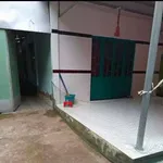 Bán đất vườn dừa 1 công 4 Tân Thanh, Bến Tre 670 triệu - Ảnh thu nhỏ 2