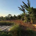 Bán đất 245m² hẻm thông Phạm Ngũ Lão Buôn Ma Thuột 2,35 tỷ - Ảnh thu nhỏ 1
