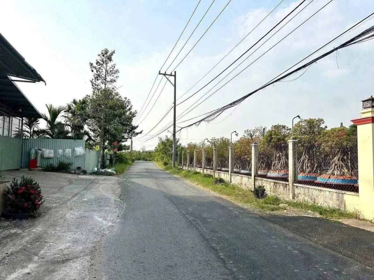 Bán đất mặt tiền 1500m² Nguyễn Văn Nhâm Tân An - Ảnh 1
