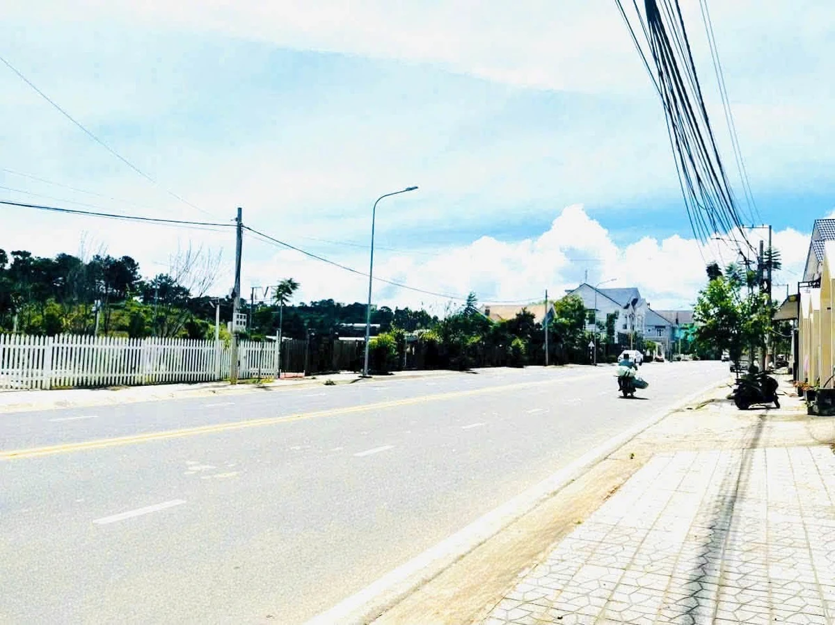 Bán lô biệt thự 2 mặt tiền 1.444 m² Đà Lạt - Ảnh thu nhỏ 2