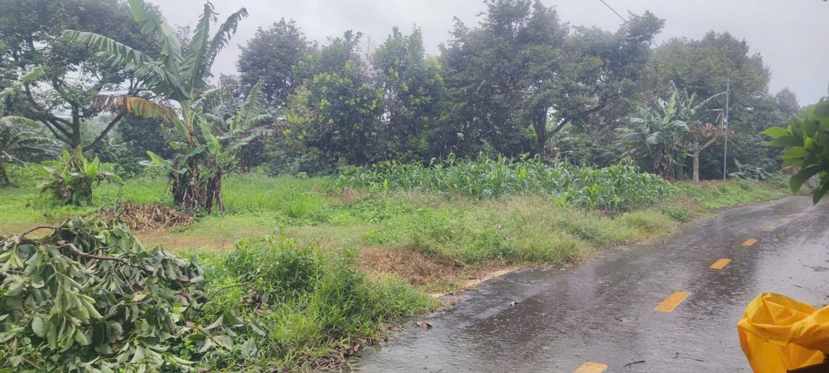 Bán 20 lô đất Bảo Lâm, 4.561m2, giá 8 tỷ - Ảnh thu nhỏ 3