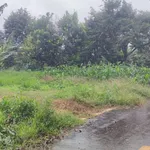 Bán 20 lô đất Bảo Lâm, 4.561m2, giá 8 tỷ - Ảnh thu nhỏ 3