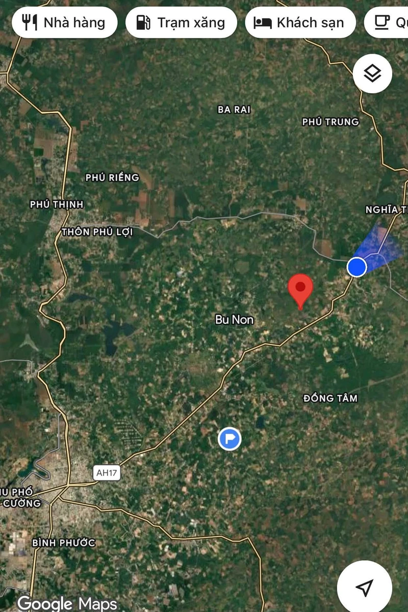 Bán 6 ha đất đỏ Đồng Tâm, Bình Phước, 1,7 tỷ/ha - Ảnh thu nhỏ 2