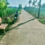 Bán đất làm trang trại 3600 m² Gò Công Đông, Tiền Giang - Ảnh thu nhỏ 3