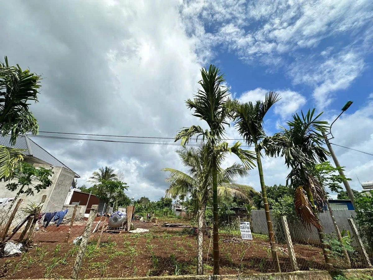 Bán đất nền Tân An Buôn Ma Thuột 245m², 1,35 tỷ - Ảnh thu nhỏ 4