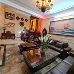Bán biệt thự vườn 350m² 3 phòng ngủ Bắc Giang - Ảnh thu nhỏ 2