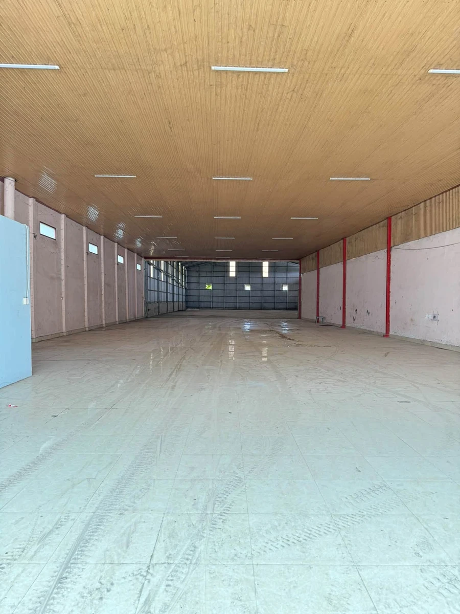 Cho thuê mặt bằng công xưởng 5000m² Bến Tre - Ảnh thu nhỏ 2