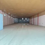 Cho thuê mặt bằng công xưởng 5000m² Bến Tre - Ảnh thu nhỏ 2