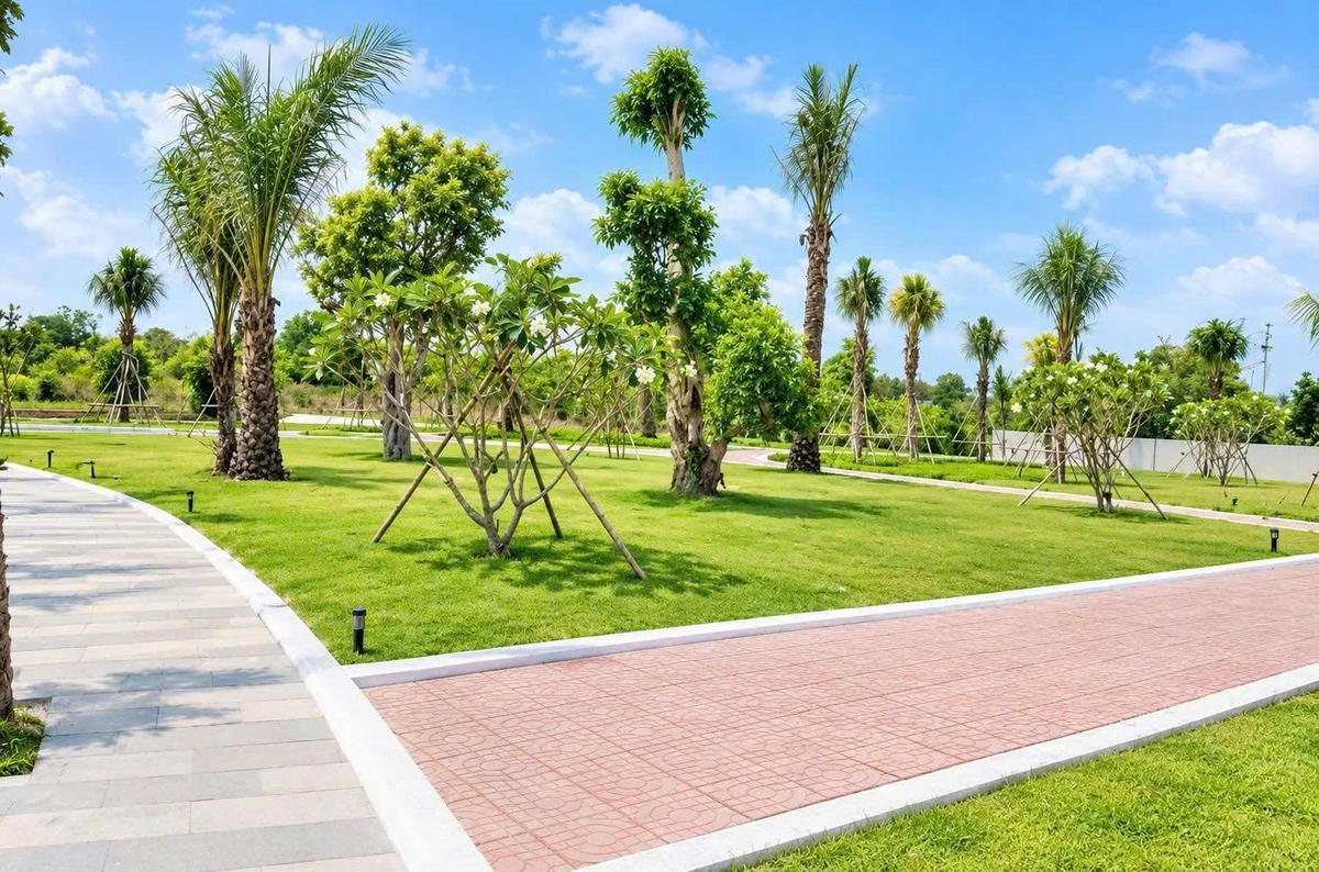 Bán lô đất 126m² full thổ cư Bà Rịa giá 1 tỷ 250 - Ảnh thu nhỏ 4