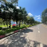 Bán đất mặt đường Tôn Đức Thắng 12x29,9m thổ cư, giá 2,7 tỷ, Đông Gia Nghĩa, Lâm Đồng - Ảnh thu nhỏ 3