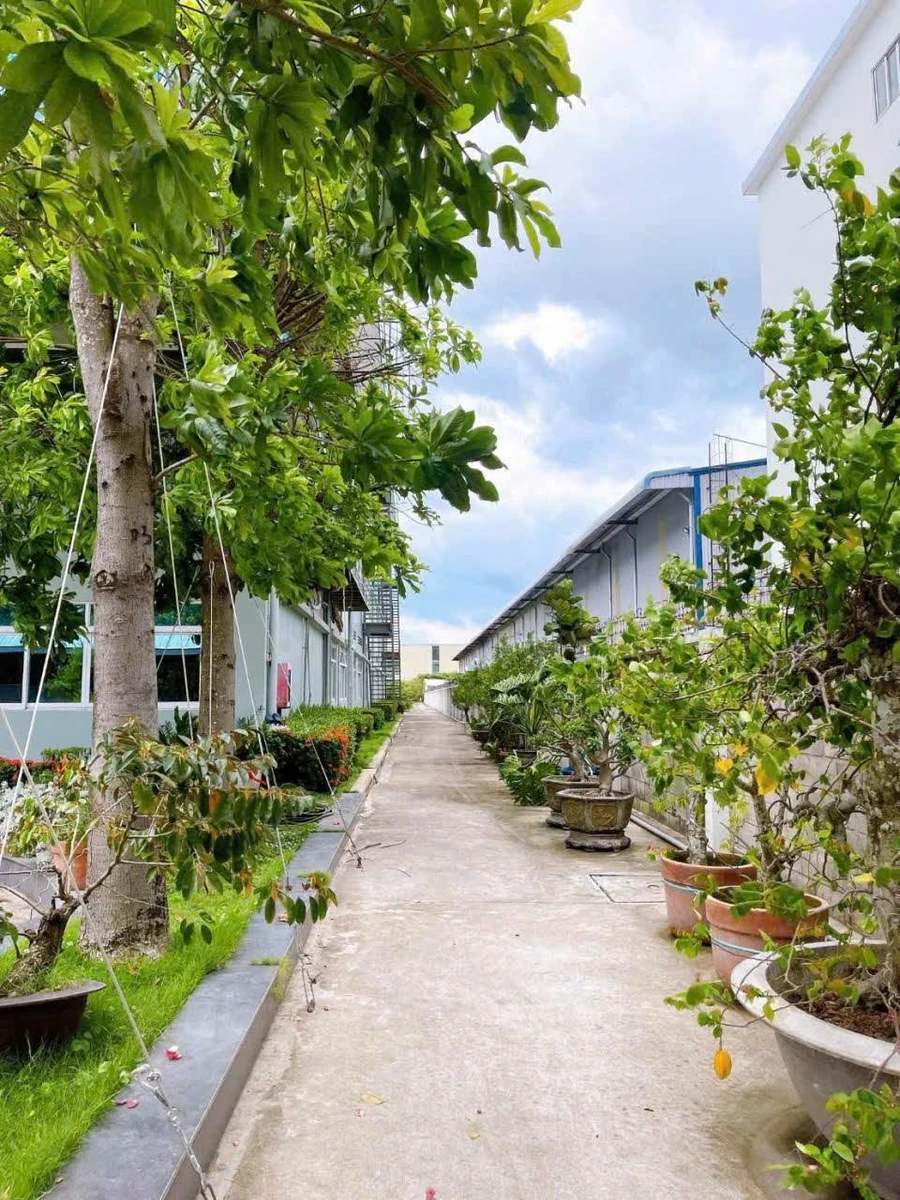 Chuyển nhượng nhà xưởng góc 2 mặt tiền KCN Bến Lức 55 tỷ - Ảnh thu nhỏ 4