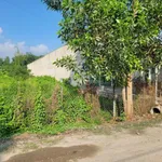Bán đất 600m² đường nhựa gần KCN Phước Đông, Tây Ninh 2,3 tỷ - Ảnh thu nhỏ 2