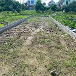 Bán đất mặt đường 97,75m2 Kiến Thuỵ Hải Phòng - Ảnh thu nhỏ 3