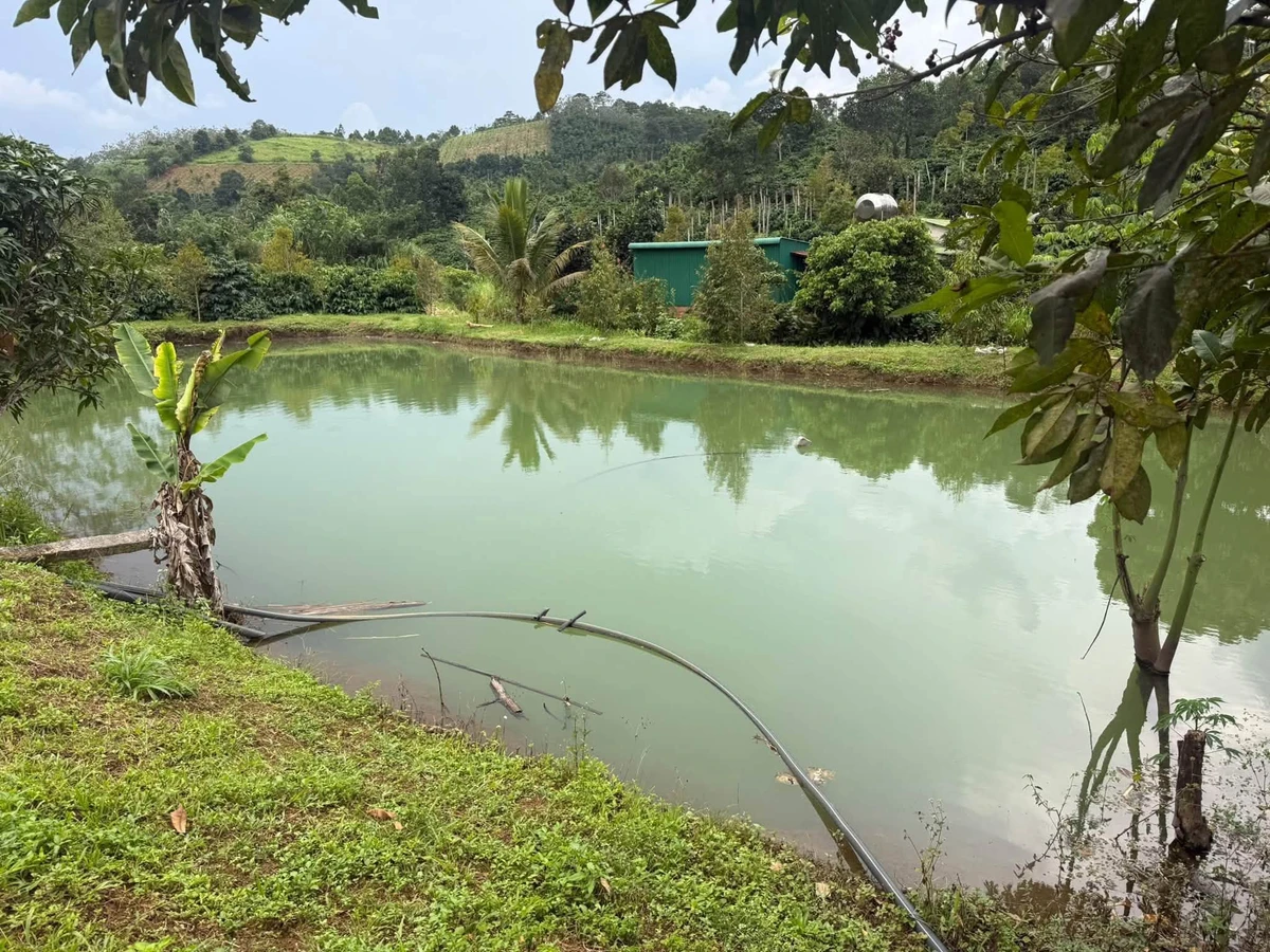 Bán 2.2ha đất kín gió ao suối Nam Jang - Ảnh thu nhỏ 3