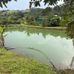 Bán 2.2ha đất kín gió ao suối Nam Jang - Ảnh thu nhỏ 3