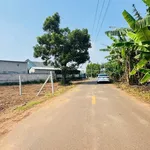 Bán đất mặt tiền Lê Thị Hồng Gấm Đất Đỏ BRVT 352m2 - Ảnh thu nhỏ 2