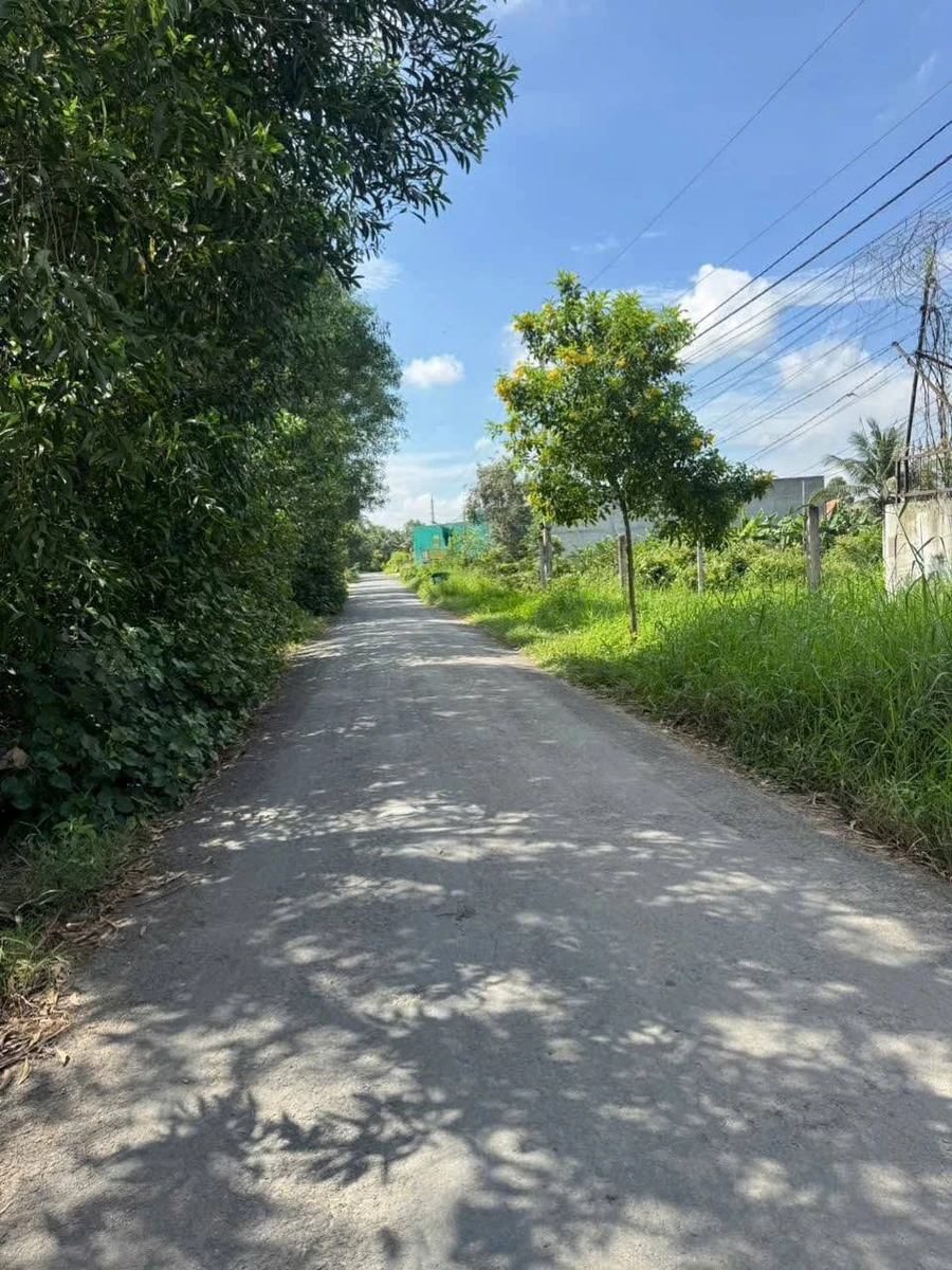 Bán 1000m² đất lúa mặt kênh Bến Lức Long An - Ảnh thu nhỏ 2