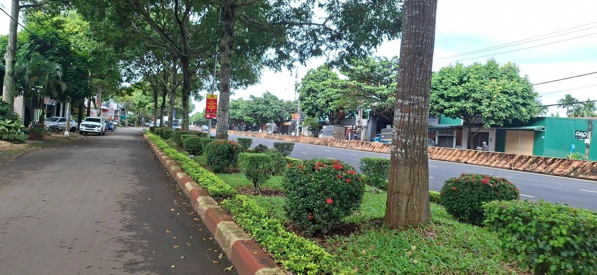 Bán đất mặt tiền Phạm Văn Đồng 230m² Đắk Lắk - Ảnh thu nhỏ 3