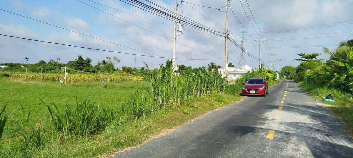 Bán 250m2 đất thổ mặt tiền Phạm Văn Điền Tân An Long An - Ảnh thu nhỏ 2