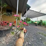 Bán nhà vườn 1000m² Đức Huệ Long An, giá 1 tỷ 650 - Ảnh thu nhỏ 1