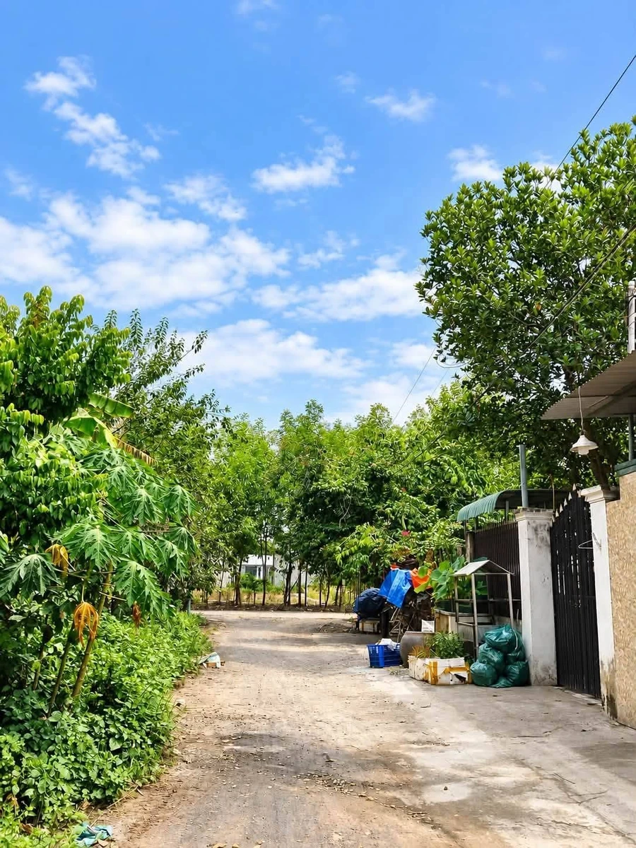 Bán đất thổ cư 150m² An Viễn Trảng Bom 1 tỷ 080 - Ảnh thu nhỏ 2