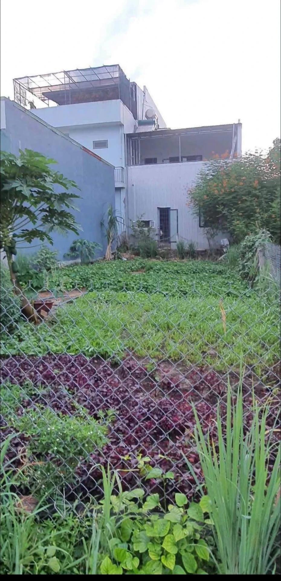 Bán đất hẻm Lê Quý Đôn 133m² 1,69 tỷ - Ảnh 1