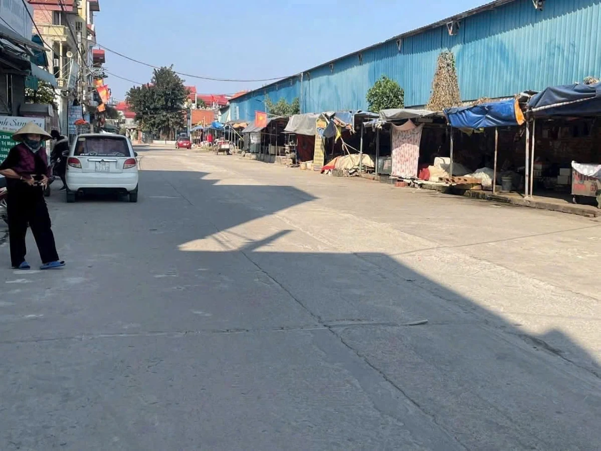 Bán đất mặt tiền Mê Linh Hà Nội 100m2 - Ảnh thu nhỏ 4
