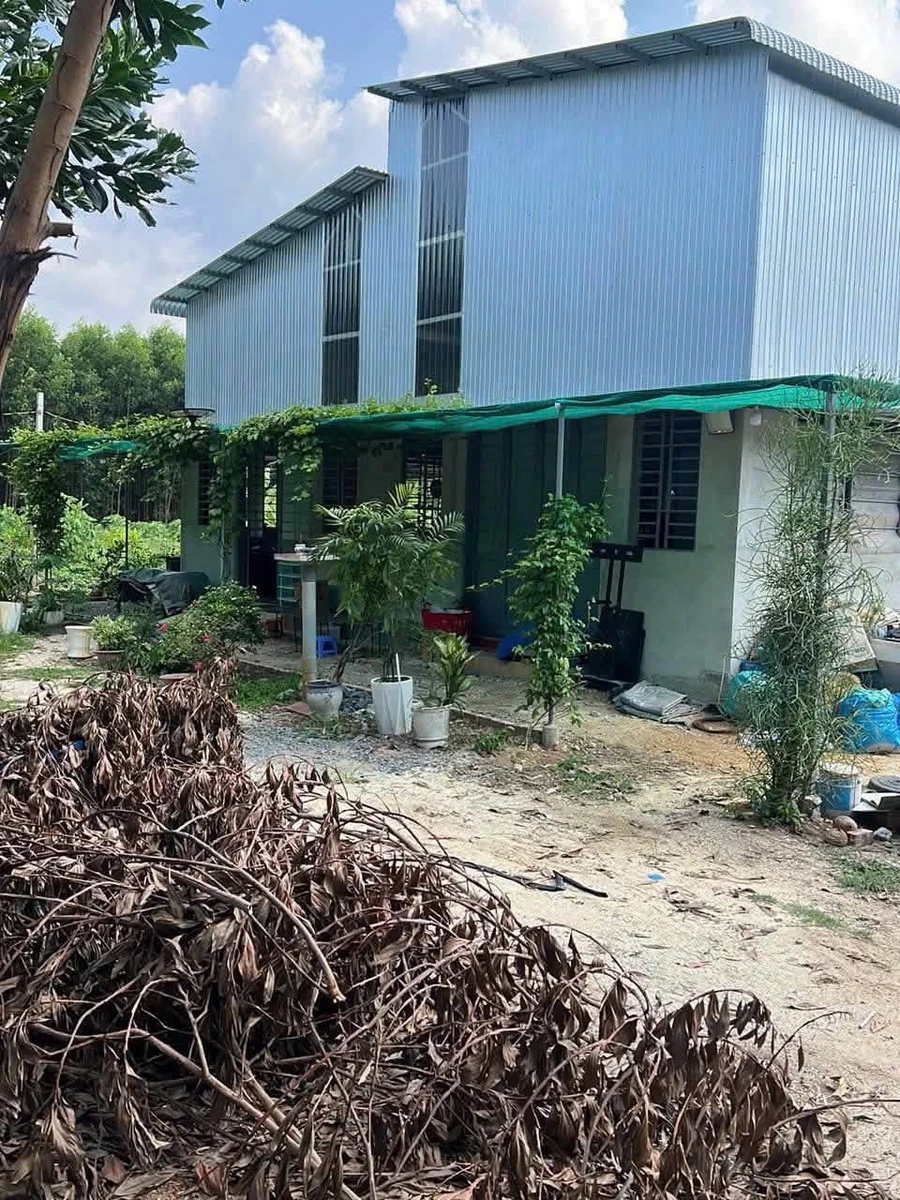 Cho thuê/bán đất vườn 8500m² tại Tây Ninh - Ảnh 1