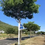 Bán đất biển Sơn Trà 100m² 8,1 tỷ Đà Nẵng - Ảnh thu nhỏ 2