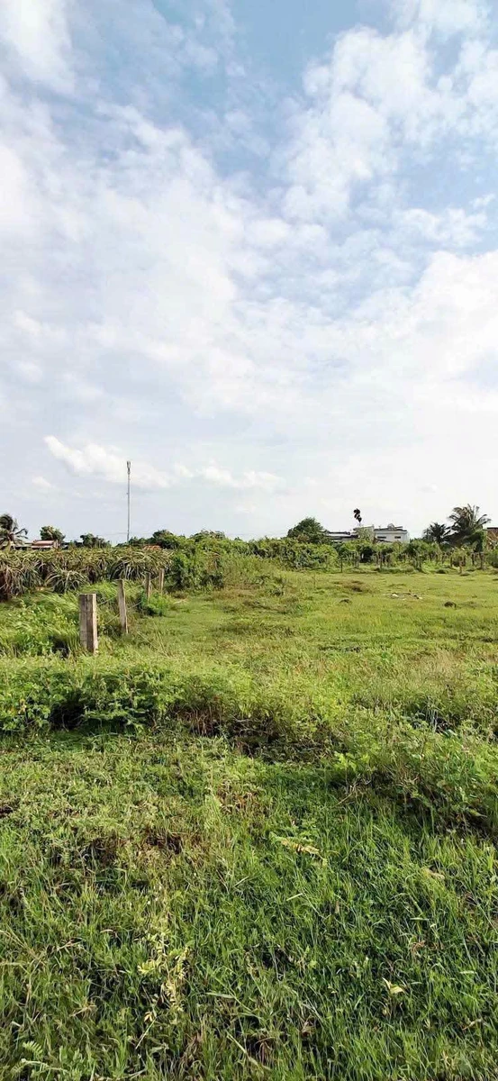 Bán đất cây trồng 180m² gần Phan Thiết, sổ riêng 120 triệu - Ảnh thu nhỏ 2