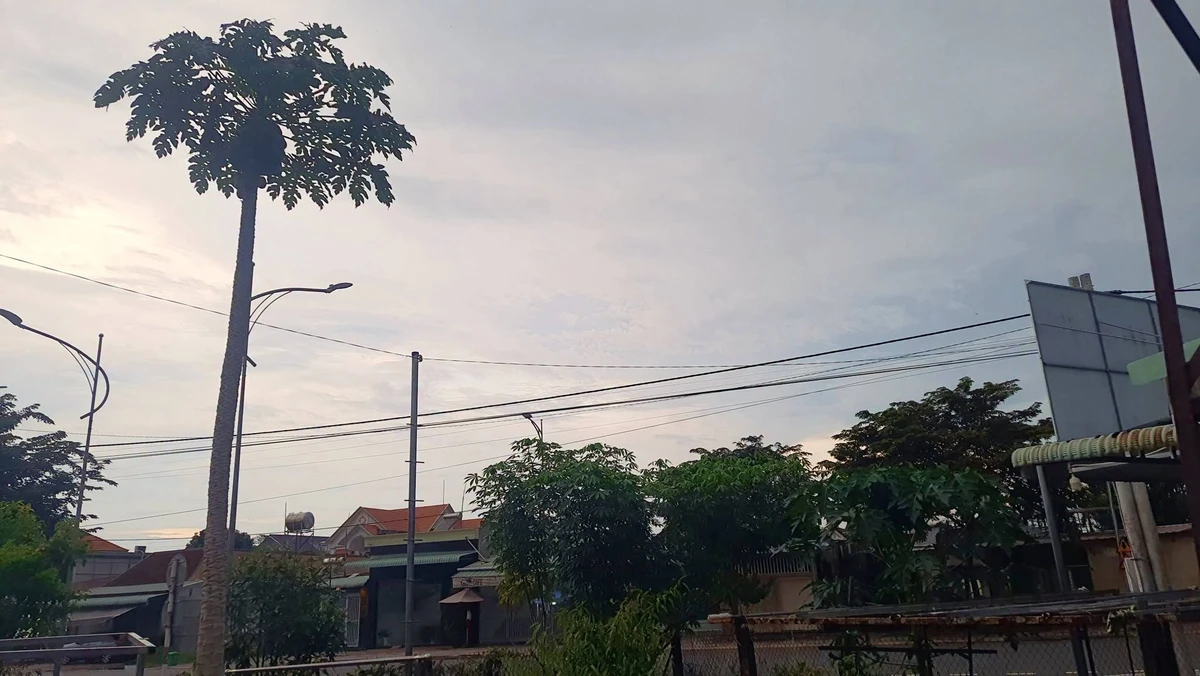 Bán nhà đất 2 mặt tiền 3 PN 240m² kp1 Tân Đông - Ảnh thu nhỏ 2