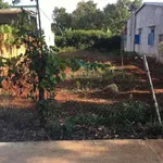 Đất 10x25m mặt tiền đường thông có thổ cư - Ảnh thu nhỏ 1