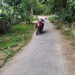 Bán nền 500m2 Tân Phú Thạnh Hậu Giang 770 triệu - Ảnh thu nhỏ 2