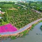 Bán đất vườn 690m² view sông Vàm Cỏ Đông Thạnh Lợi - Ảnh thu nhỏ 1