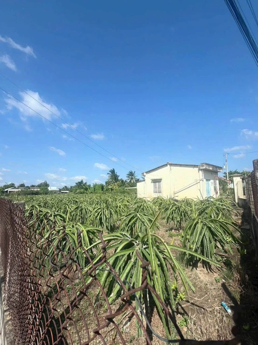 Bán quỹ đất 2.000m² full thổ cư mặt tiền Tây Ninh - Ảnh thu nhỏ 3