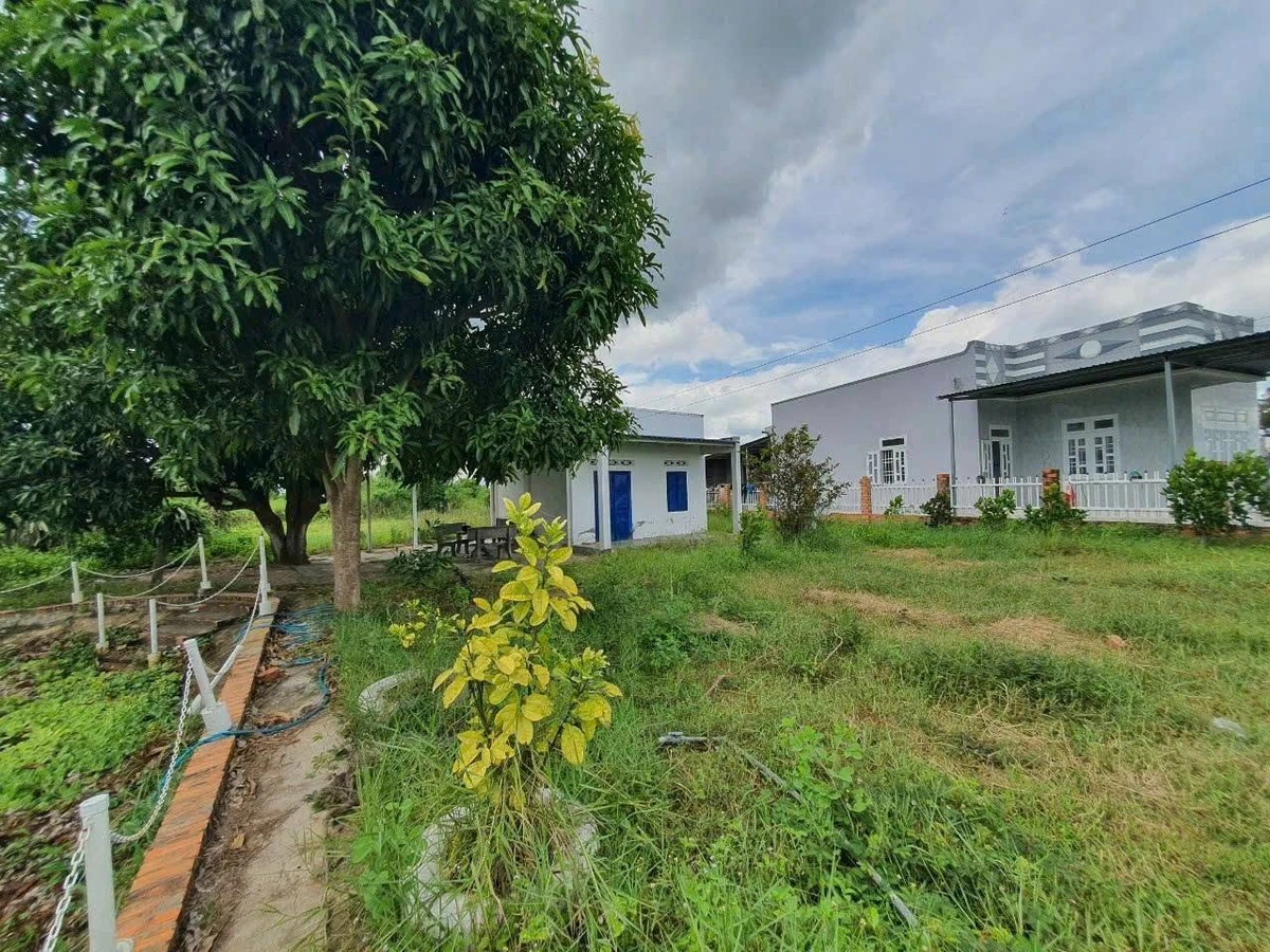 Bán nhà vườn Bình An 1674m² giá 2 tỷ 250 - Ảnh thu nhỏ 5