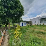 Bán nhà vườn Bình An 1674m² giá 2 tỷ 250 - Ảnh thu nhỏ 5