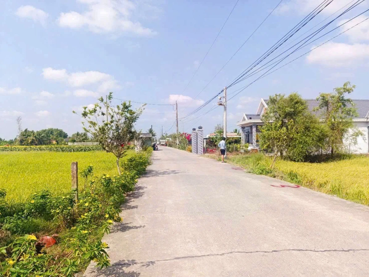 Bán đất thổ cư 5x43m đối diện KCN An Nhựt Tân, Tân Trụ, Long An giá 999 triệu - Ảnh thu nhỏ 3