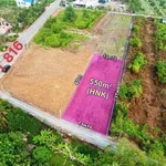 Bán đất 550m² Thạnh Hòa Bến Lức 1 tỷ 50 - Ảnh thu nhỏ 1