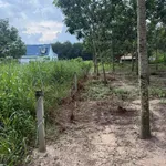 Bán 2350m² đất Chánh Phú Hòa Bến Cát 2.6 tỷ - Ảnh thu nhỏ 3