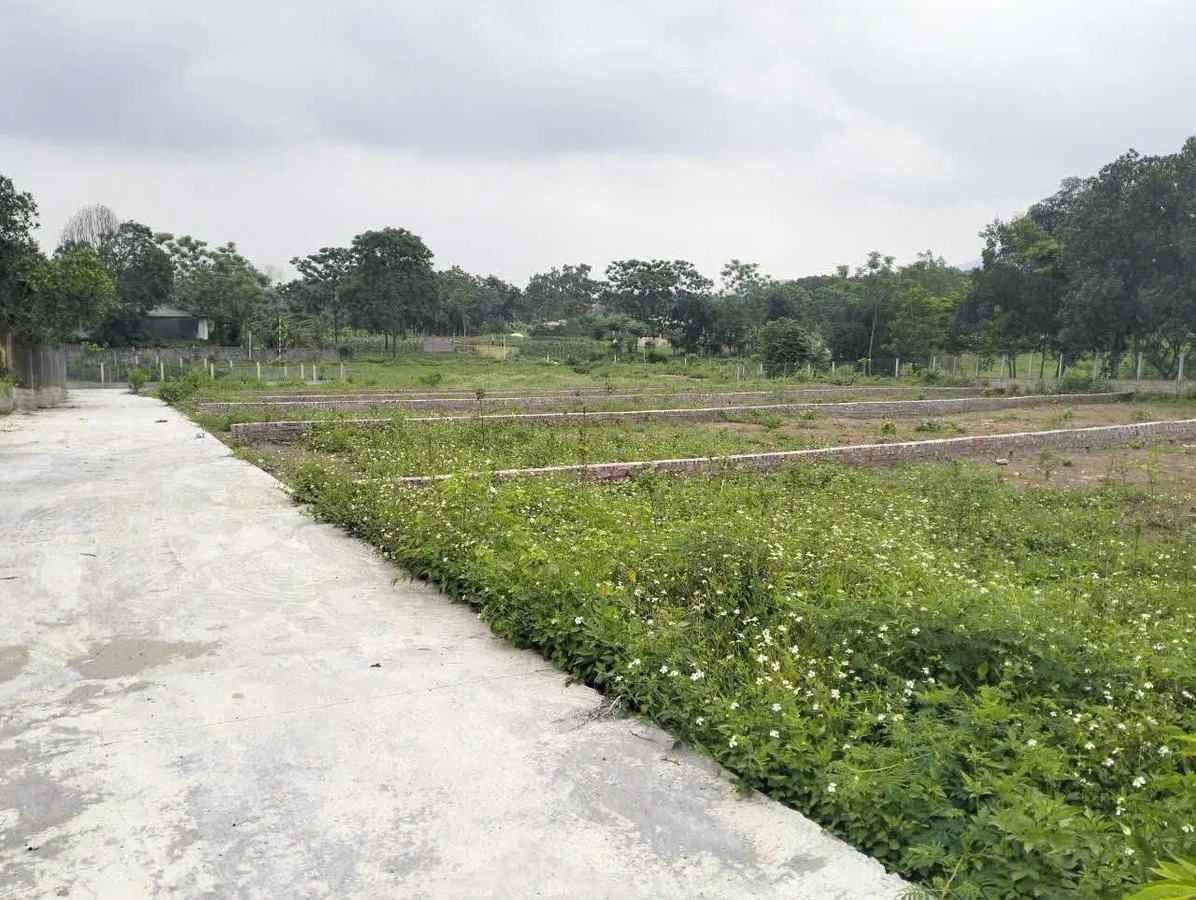 Bán đất nền 300m² view núi tại Hà Nội, 1,6 tỷ - Ảnh thu nhỏ 4