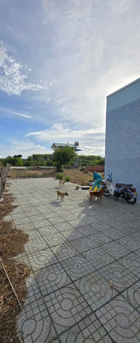 Bán 9.722m² đất gần biển Bình Châu, 13 tỷ - Ảnh thu nhỏ 3