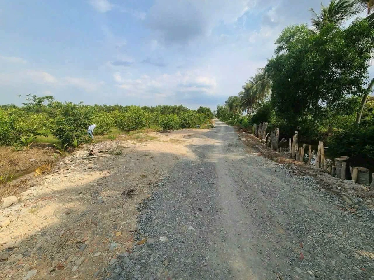 Bán đất Xã Thạnh Hòa Bến Lức Long An 920m² 1 tỷ 290 - Ảnh thu nhỏ 2