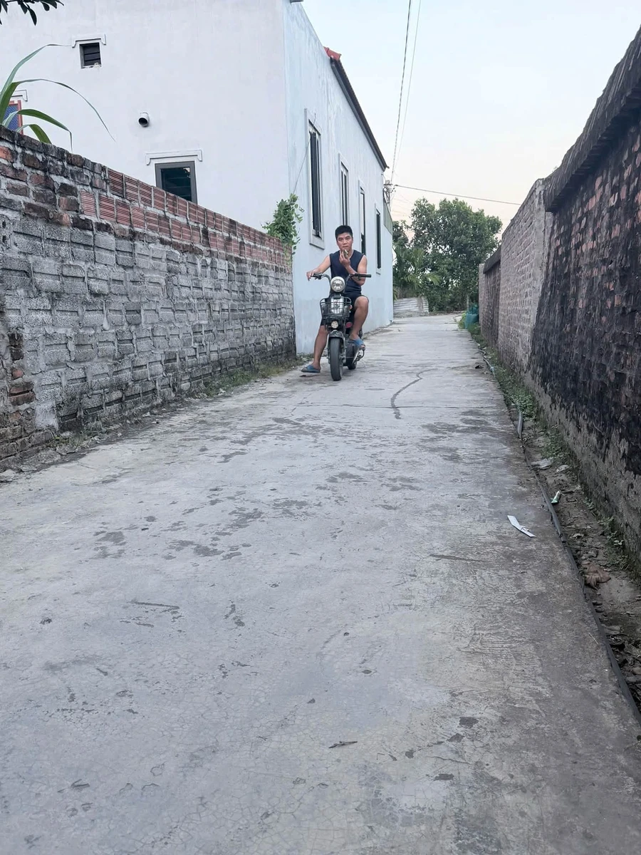 Bán đất 245m² thổ cư tại An Bình, Thanh Miện, Hà Đông - 1,2 tỷ - Ảnh thu nhỏ 3
